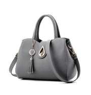 Brief Bag
